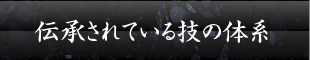伝承されている技の体系