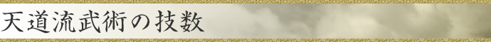 天道流武術の技数